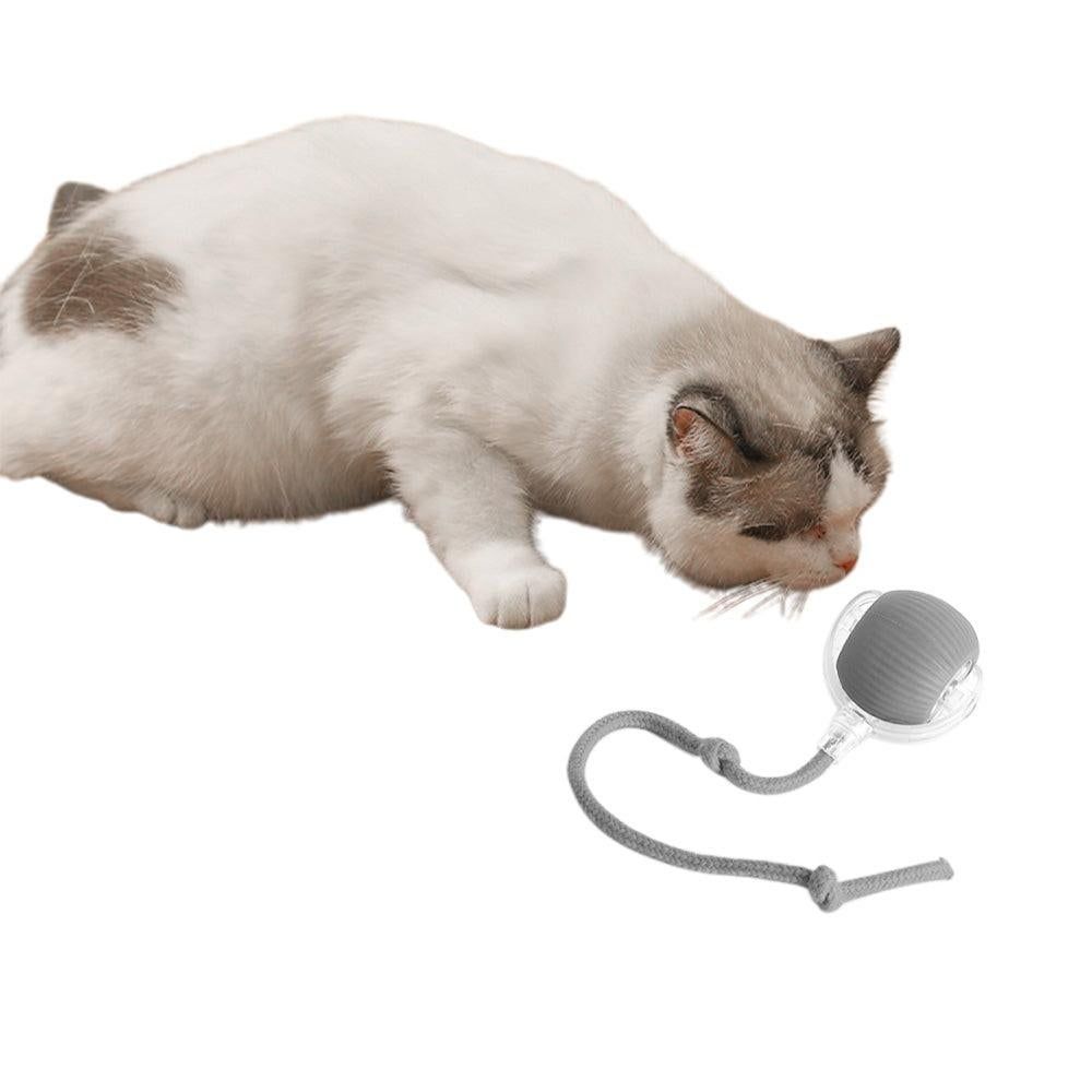 Interactive Cat Toy Ball Fast Rolling Motion Activate Cat Toys Gray - view 5