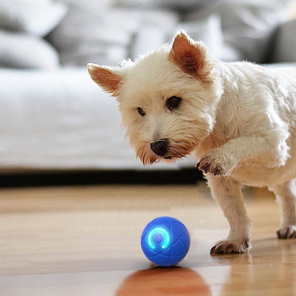 2Pcs 5CM Automatic Moving Ball Toys for Cats USB Rechargeable Interactive Cat Bouncing Toys - view 6