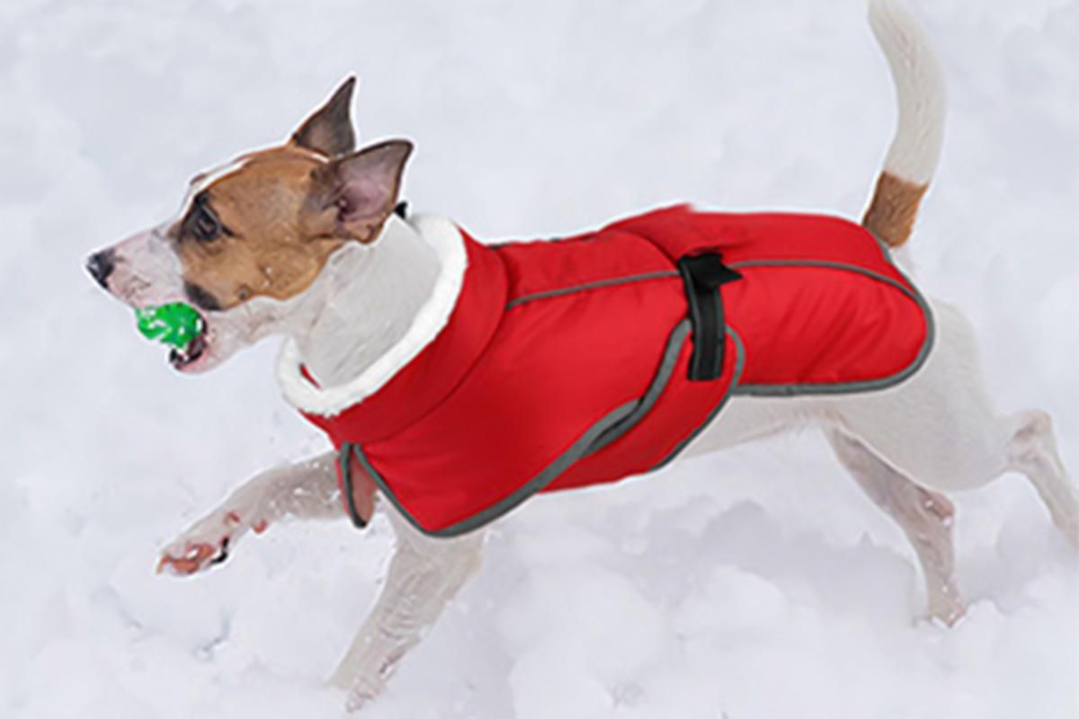 Dogcheer Dog Coat Reflective Dog Snow Jacket for Small Medium Large Dogs -Red M - view 8
