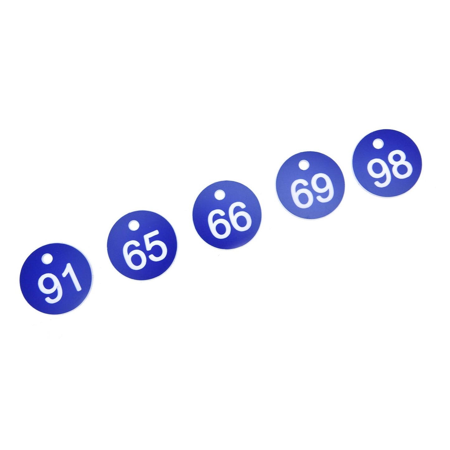 50PCS Numbered Label Numbered Tag for Farm Livestock Beekeeping Husbandry Breeding Supplies51-100 Blue - view 10