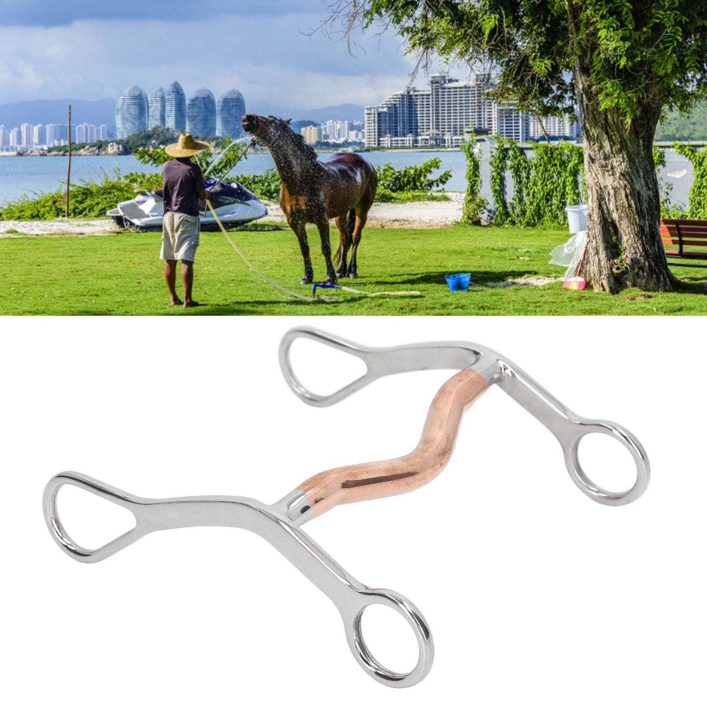 Horse Mouth Bit Stainless Steel Horse Breaking Bit Wear Resistant Corrosion Resistant Horse Snaffle Bit for Farm - view 10