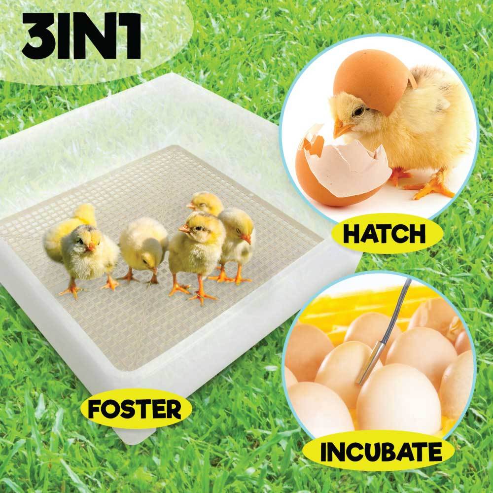 Rooster Farms Electric 112 Egg Incubator + Accessories for Chicken Quail Duck - view 10