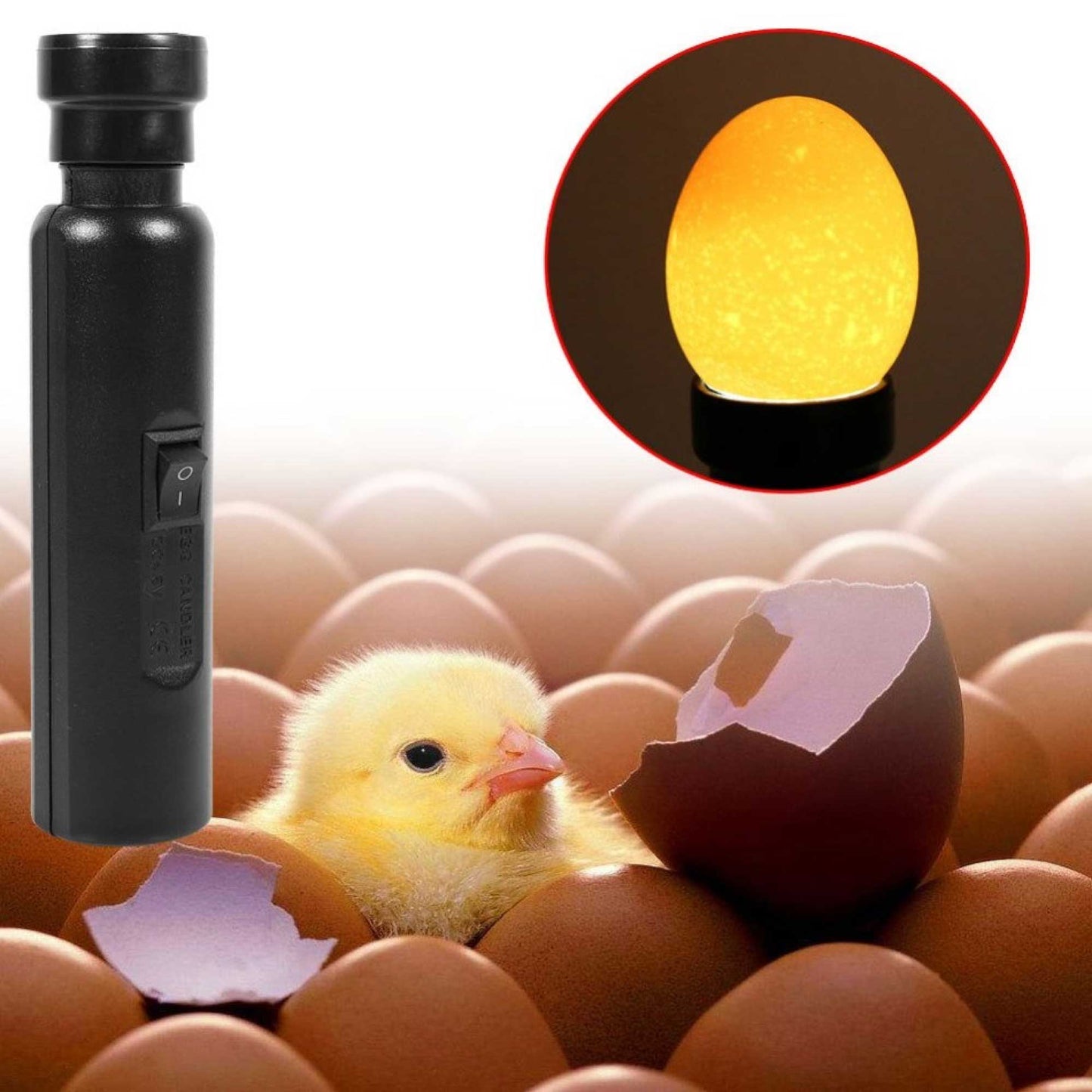 AU Plug Egg Candler Lamp - LED Cool Light Chicken Duck Quail Hatching Incubator - view 6