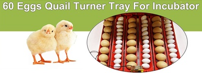 Rooster Farms Electric 60 Egg Incubator + Accessories for Chicken Quail Duck - view 7