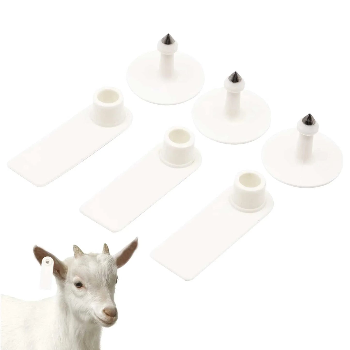 100x Cattle Ear Tags 5x2cm Set - Mini White Blank Pig Goat Livestock Label - view 5