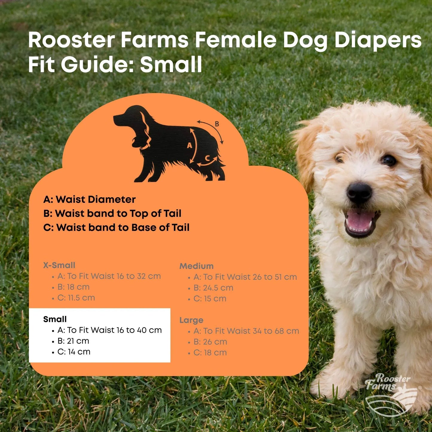 Rooster Farms Female Dog Diapers Small 3Pk - Washable Reusable Nappies Hook/Loop - view 9