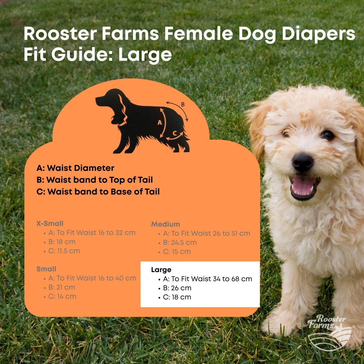 Rooster Farms Female Dog Diapers Large 3Pk - Washable Reusable Nappies Hook/Loop - view 9