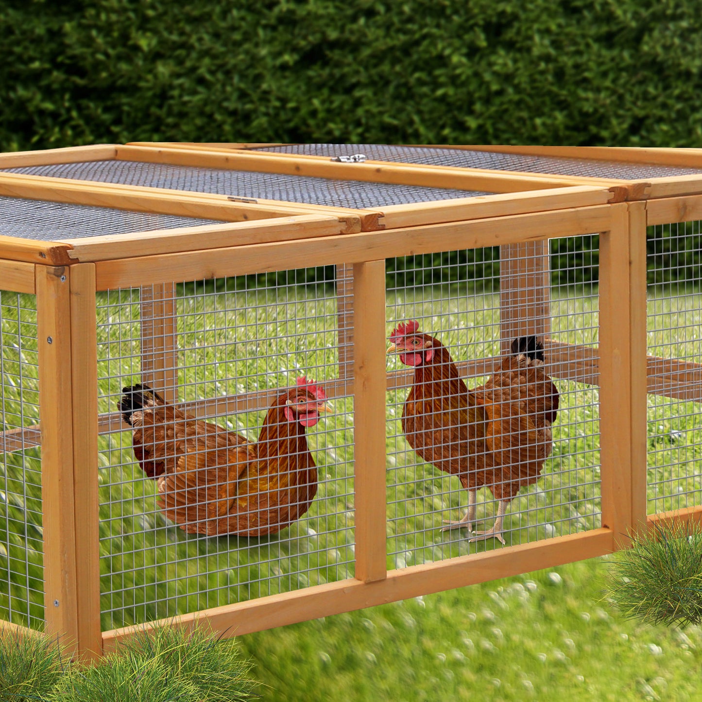 Furtastic Rectangular Wooden Chicken Coop & Rabbit Hutch - view 6