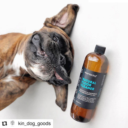Essential Dog 500ml Natural Floor Cleaner (Eucalyptus and Lemongrass) - view 4