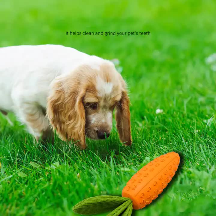 2 PCS Durable Rubber Carrot Dog Toy – Squeaky Chew Toy for Large Dogs, Puppy Teething & Dental Care, Interactive Play for Bored Pets - view 5