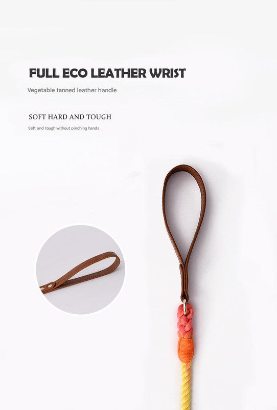 Premium Leather Pet Collar and Leash - Soft, Strong Braided Rope (Purple - Size L) - view 3