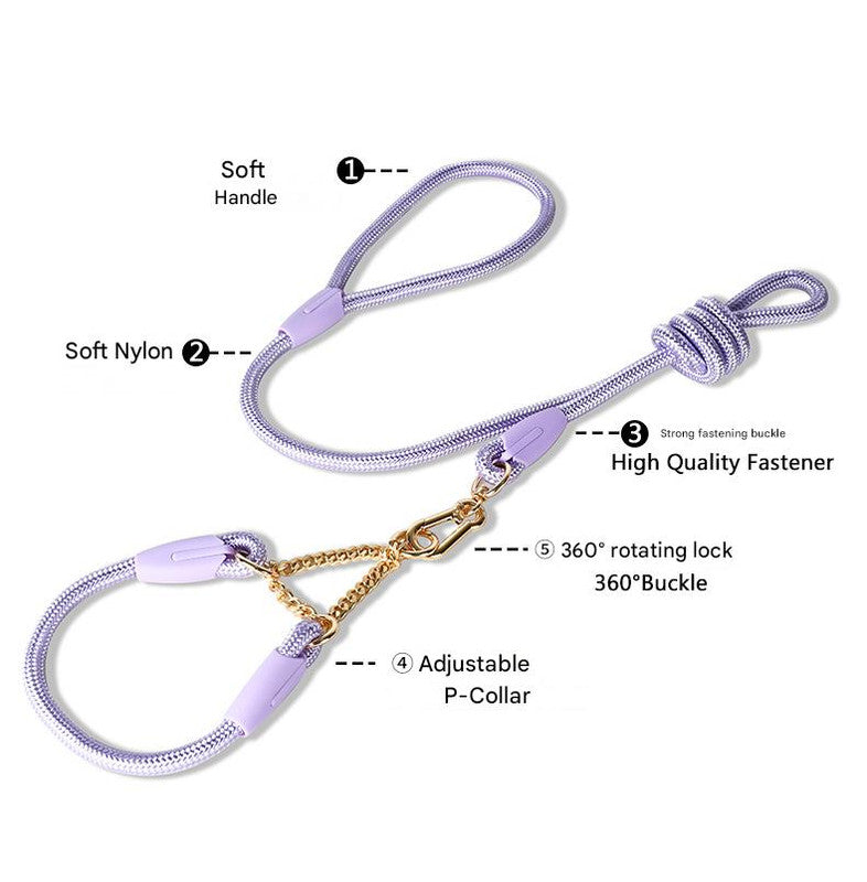 Blue Durable Nylon P-Collar Dog Training Set - Heavy Duty Leash & Martingale Collar (Size : L) - view 5