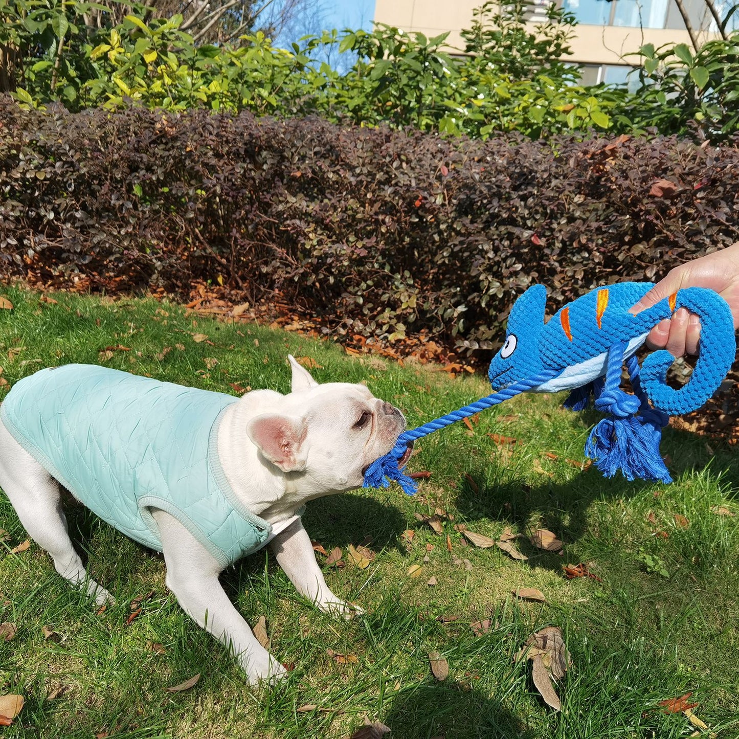 2 Pcs Pink Interactive Plush Chameleon Dog Toy with Squeaker & Rope Legs - Durable Chew Toy for Medium/Large Dogs, Teeth Cleaning Texture, Machine Washable (10.2in) - view 7