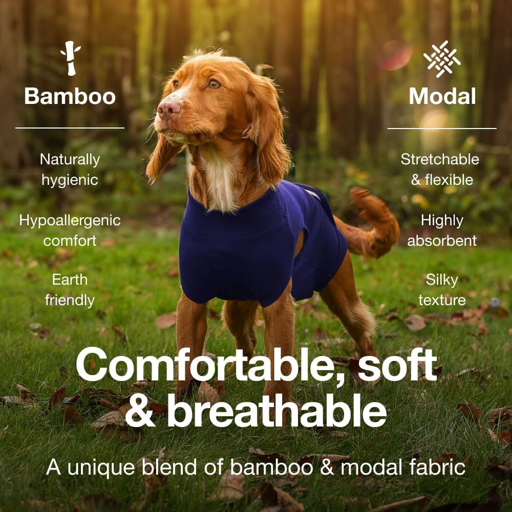 M Blue Premium Pet Physiological Suit - Comfortable & Breathable Bamboo Modal Recovery Suit - view 4