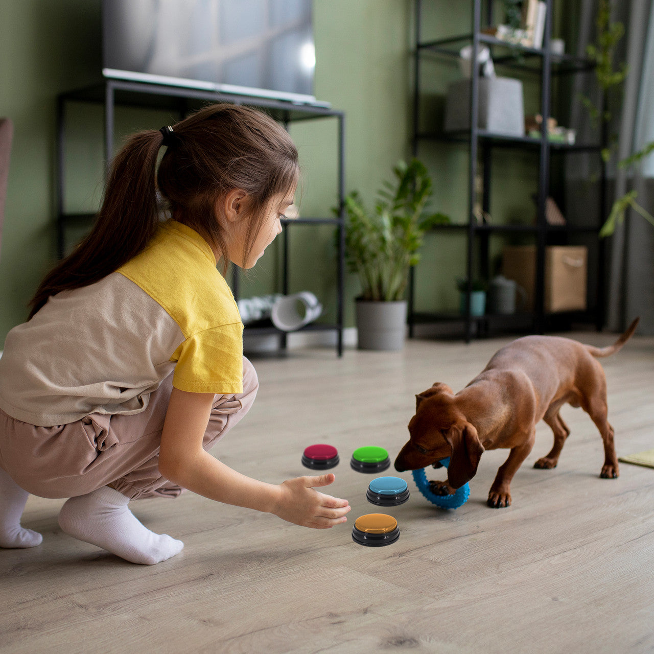 Tech4Pets 4-Pack Talking Buttons for Interactive Pet Communication - view 3