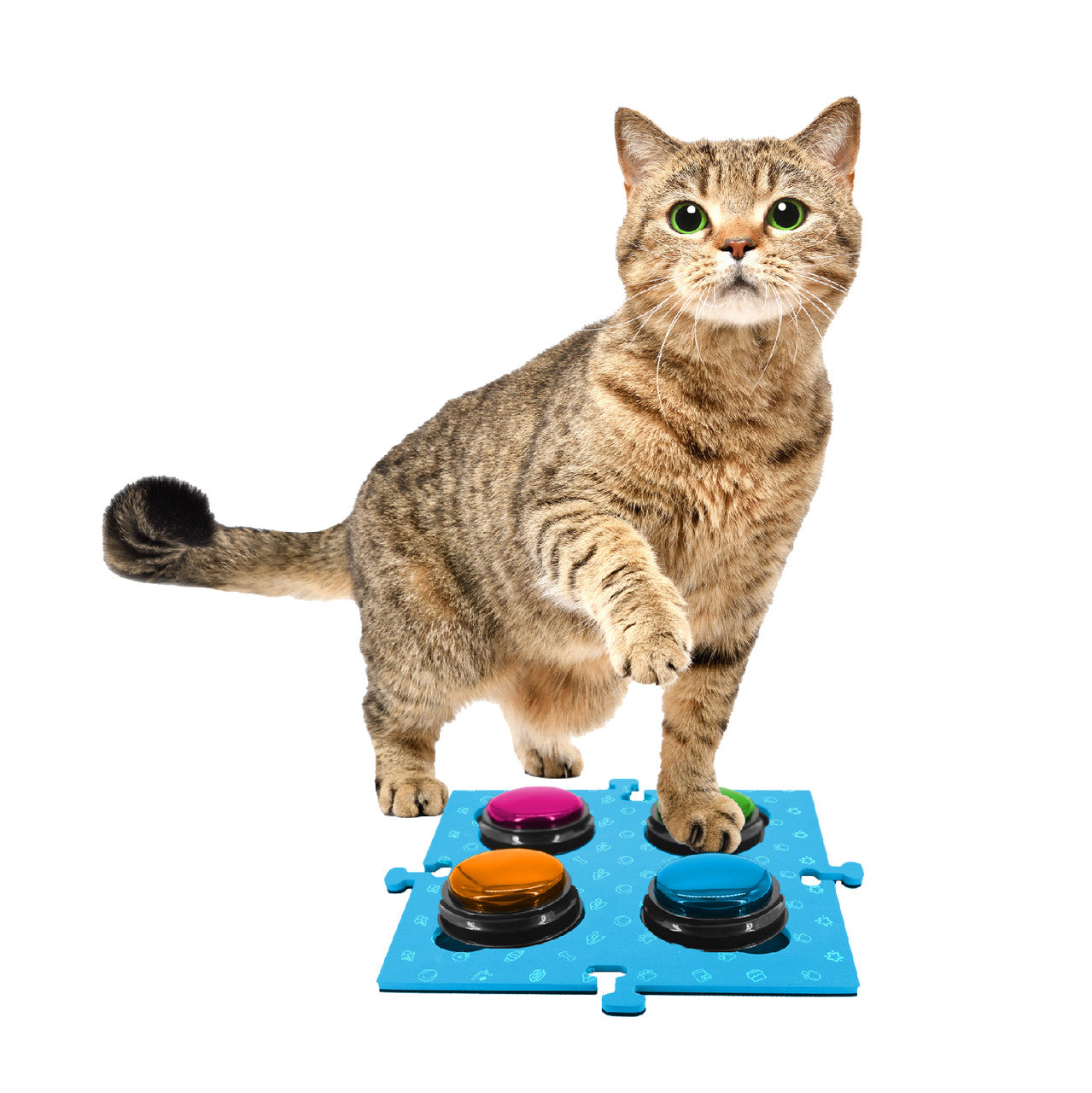 Tech4Pets Blue Mat 2-Pack for Talking Buttons & Floor - view 3