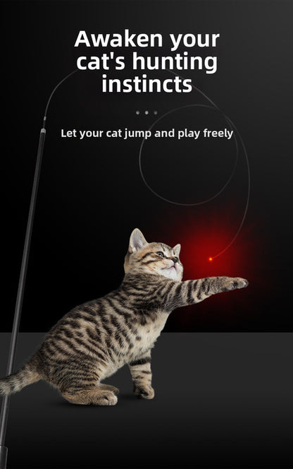 pet products Interactive LED telescopic pole cat teaser stick - view 3