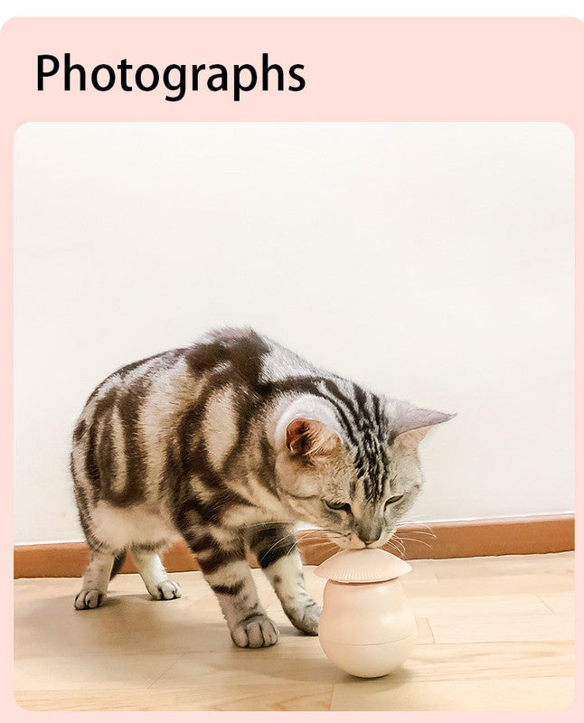 Pet products Pet Toy Cat Laser Toy Tumbler Intelligent Induction Cat Laser Rod - view 9