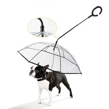 Bendable transparent pet umbrella with leash chain, rain or shine, one umbrella for outdoor pet walks