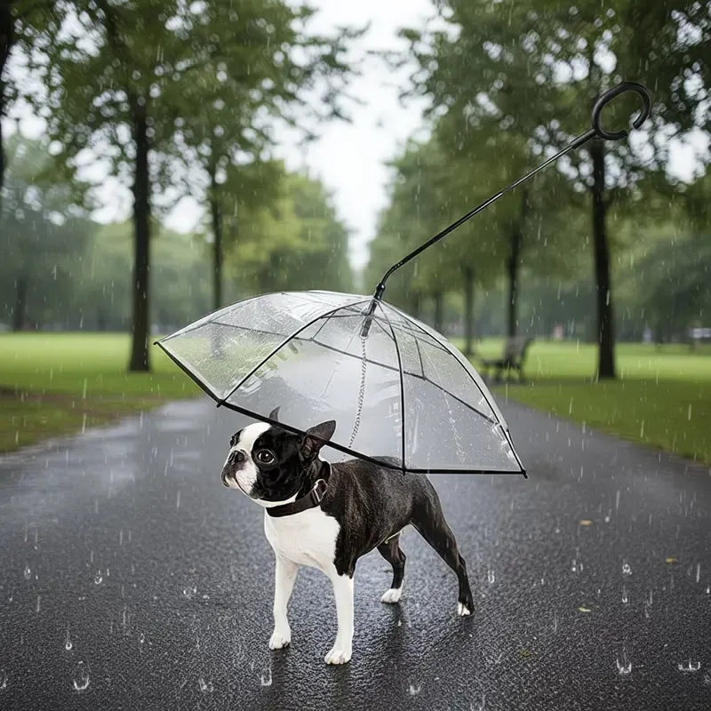 Bendable transparent pet umbrella with leash chain, rain or shine, one umbrella for outdoor pet walks - view 2