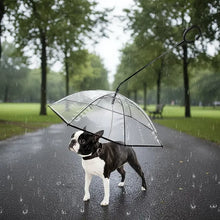Bendable transparent pet umbrella with leash chain, rain or shine, one umbrella for outdoor pet walks - view 2