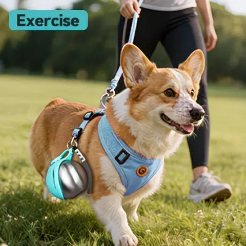 Portable Stainless Steel Cat & Dog Water Bottle, Leak-Proof 2-in-1 with Bowl, One-Press Drink & Feed for Outdoor Walks & Travel, Lightweight & Easy to Carry, Pet Essential./blue - view 10