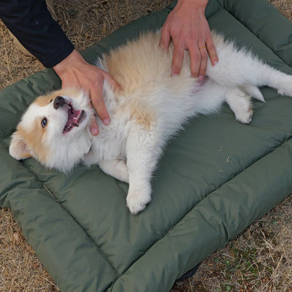 High-Quality Pet Portable Moisture-Proof Mattress, 120x80cm Large Size, Foldable for Storage, Wear-Resistant and Waterproof, All-Season Use, Suitable for Indoor and Outdoor, Ideal for Both Cats and Dogs.army green - view 3