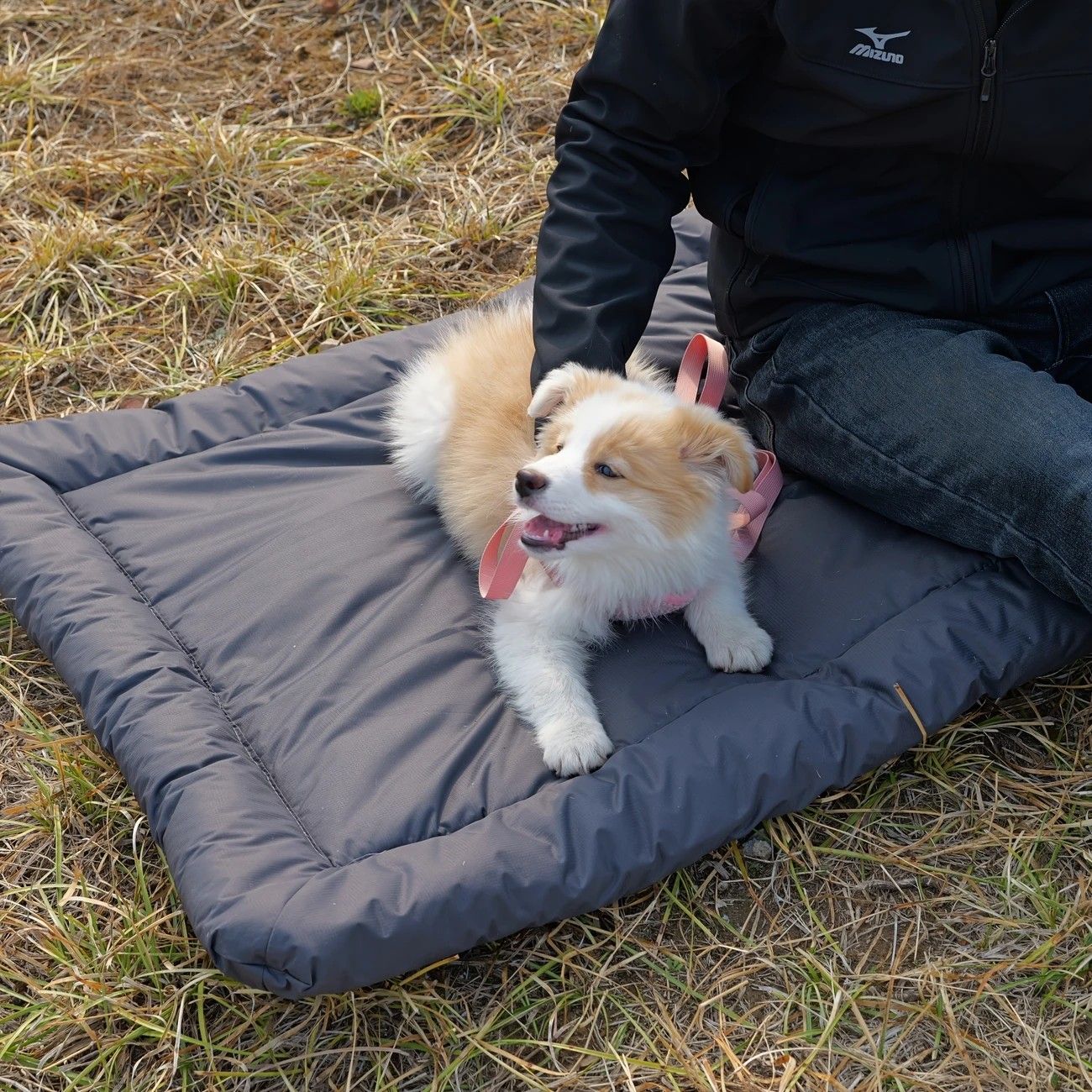 High-Quality Pet Portable Moisture-Proof Mattress, 120x80cm Large Size, Foldable for Storage, Wear-Resistant and Waterproof, All-Season Use, Suitable for Indoor and Outdoor, Ideal for Both Cats and Dogs.army green - view 4