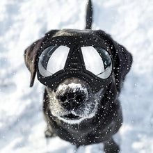 Large Dog Goggles | Windproof, Snowproof, UV Protection, Flexible Frame Sunglasses for Outdoor Adventure(black)