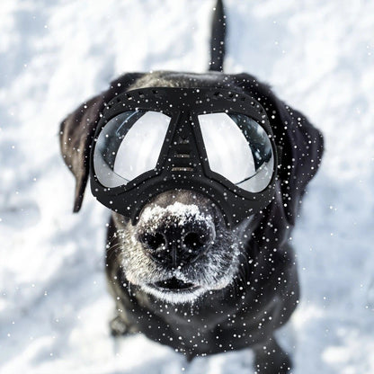 Large Dog Goggles | Windproof, Snowproof, UV Protection, Flexible Frame Sunglasses for Outdoor Adventure(WHITE) - view 2