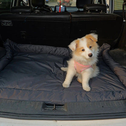 High-Quality Pet Portable Moisture-Proof Mattress, 120x80cm Large Size, Foldable for Storage, Wear-Resistant and Waterproof, All-Season Use, Suitable for Indoor and Outdoor, Ideal for Both Cats and Dogs.red - view 4