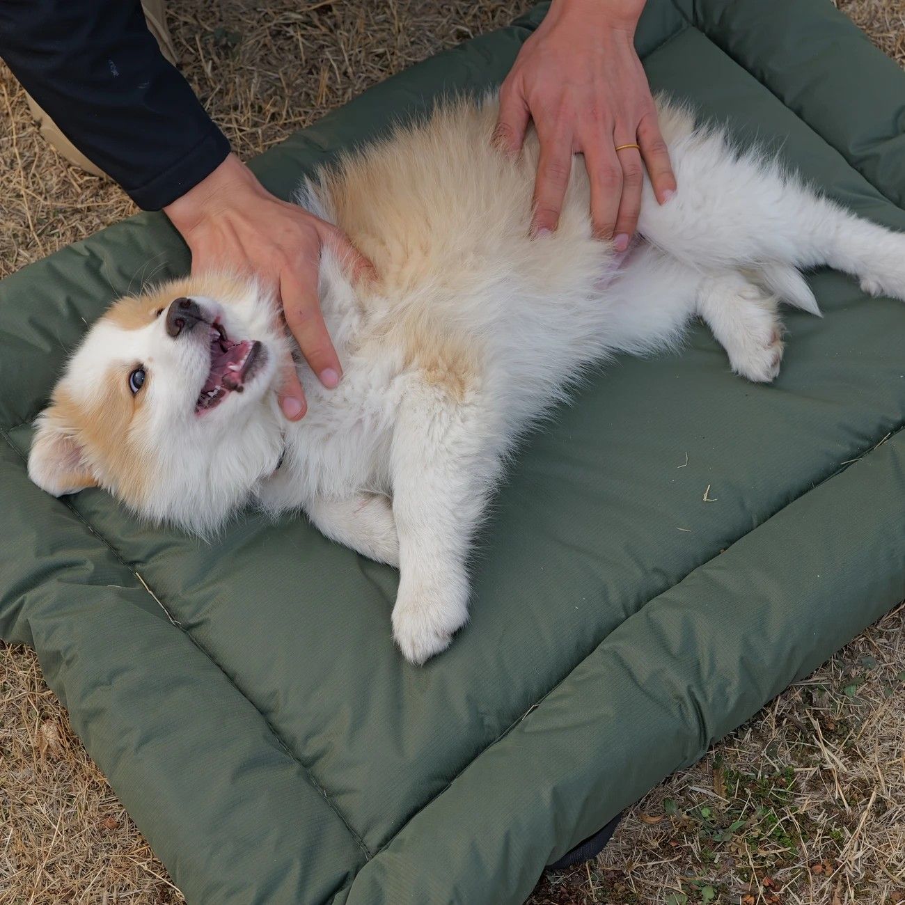High-Quality Pet Portable Moisture-Proof Mattress, 120x80cm Large Size, Foldable for Storage, Wear-Resistant and Waterproof, All-Season Use, Suitable for Indoor and Outdoor, Ideal for Both Cats and Dogs.red - view 6