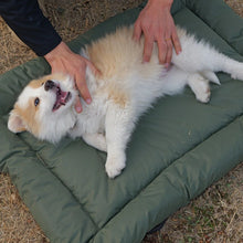 High-Quality Pet Portable Moisture-Proof Mattress, 120x80cm Large Size, Foldable for Storage, Wear-Resistant and Waterproof, All-Season Use, Suitable for Indoor and Outdoor, Ideal for Both Cats and Dogs.BLUE - view 2