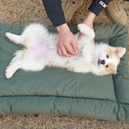 High-Quality Pet Portable Moisture-Proof Mattress, 120x80cm Large Size, Foldable for Storage, Wear-Resistant and Waterproof, All-Season Use, Suitable for Indoor and Outdoor, Ideal for Both Cats and Dogs.BLUE - view 4