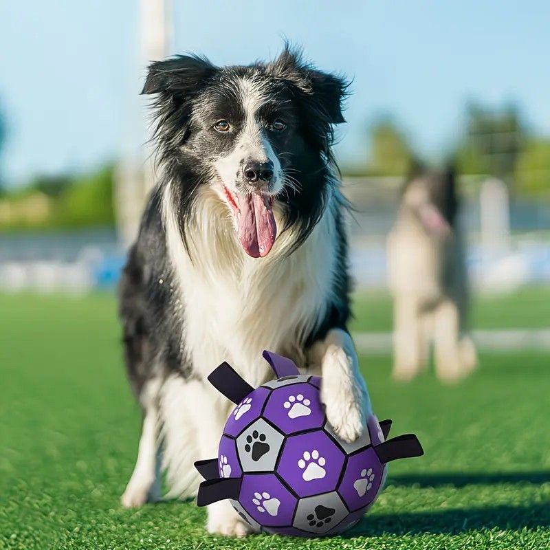 Dog Ball Toy Soccer Ball with Webbing Strap, Indoor and Outdoor Interactive Tug-of-War, Purple and Black Soccer Ball, Pet Toy for Large, Medium, and Small Dogs (Includes Air Pump) - view 7