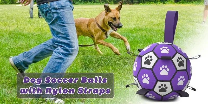 Dog Ball Toy Soccer Ball with Webbing Strap, Indoor and Outdoor Interactive Tug-of-War, Purple and Black Soccer Ball, Pet Toy for Large, Medium, and Small Dogs (Includes Air Pump) - view 10