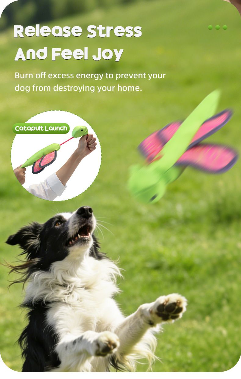 Bouncy Flying Bug (Captain Dragonfly) Pet Interactive Toy: Launch and Sound Effects with 360° Rotation, Bite-Resistant Oxford Fabric for Fun Between Pets and Owners - view 6