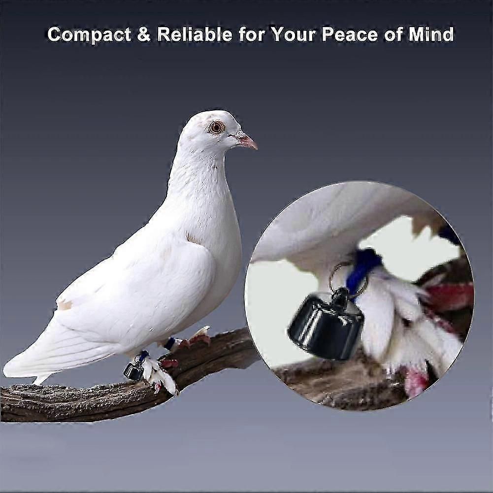 Mini Smart Pet Tracker with Collar - GPS Real-Time Location for Cats - view 4
