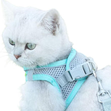 Pet Cat Harness and Leash Set Breathable Vest with Reflective Strip for Kitten Walking Traveling Blue - view 2