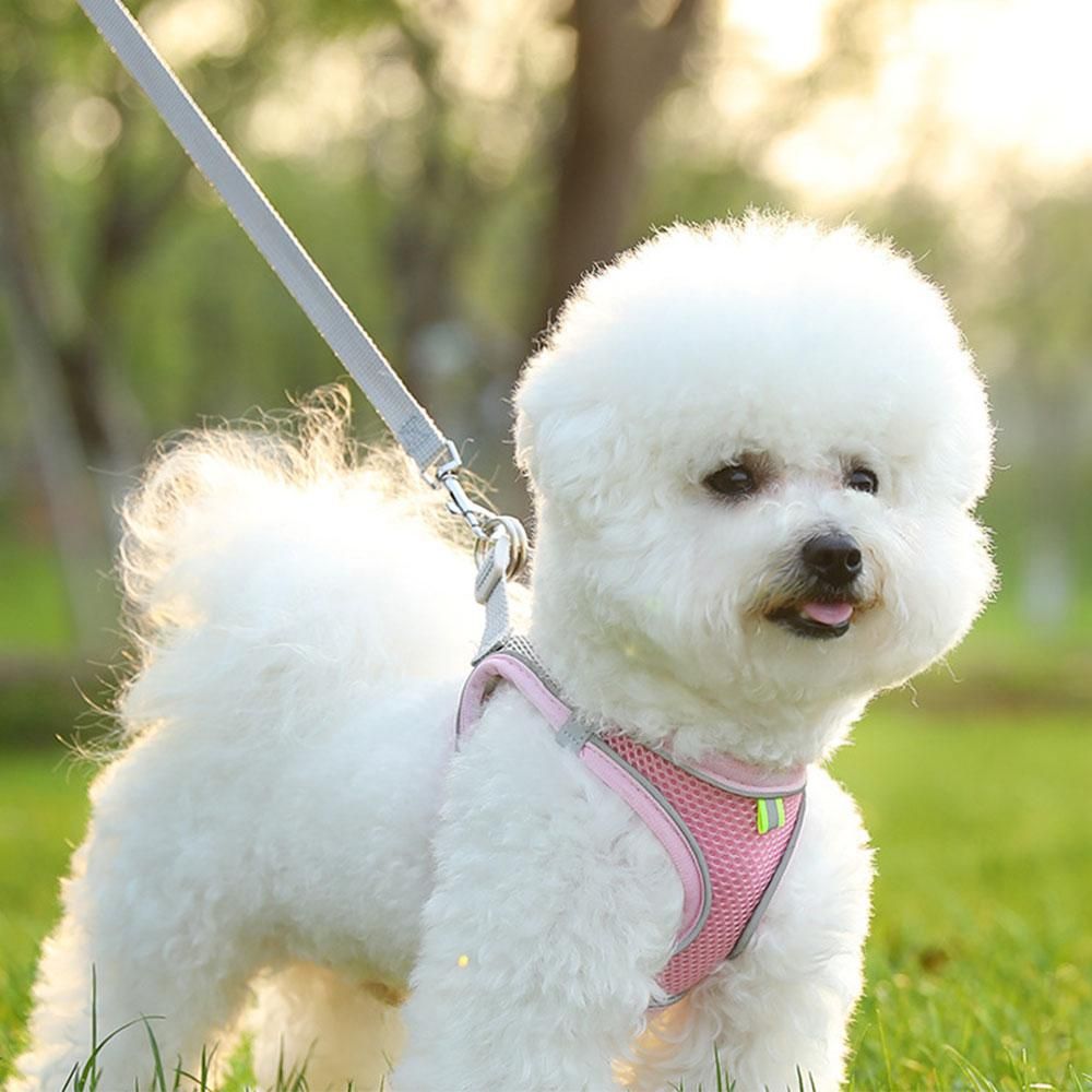 Pet Cat Harness and Leash Set Breathable Vest with Reflective Strip for Kitten Walking Traveling Pink - view 2