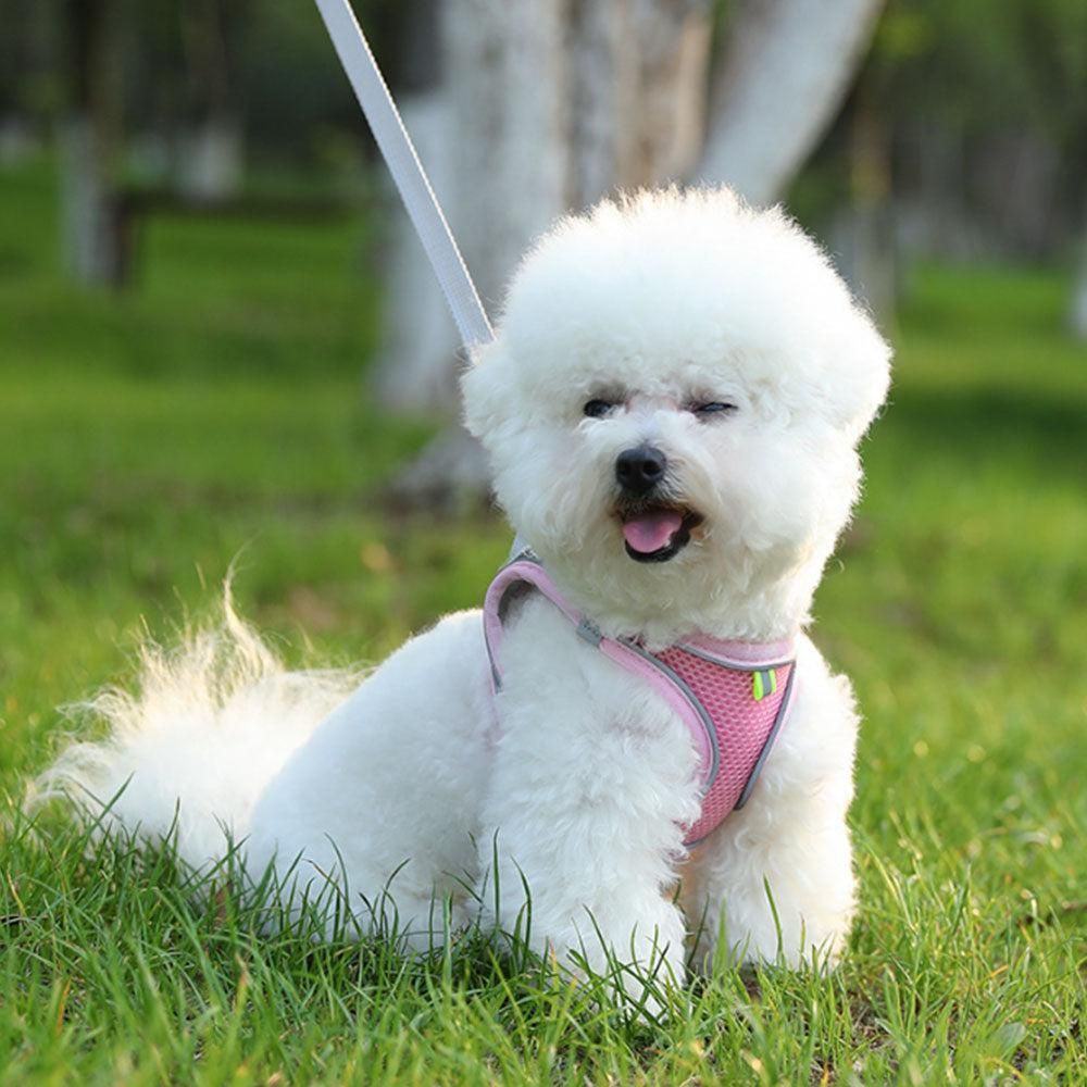 Pet Cat Harness and Leash Set Breathable Vest with Reflective Strip for Kitten Walking Traveling Pink - view 3