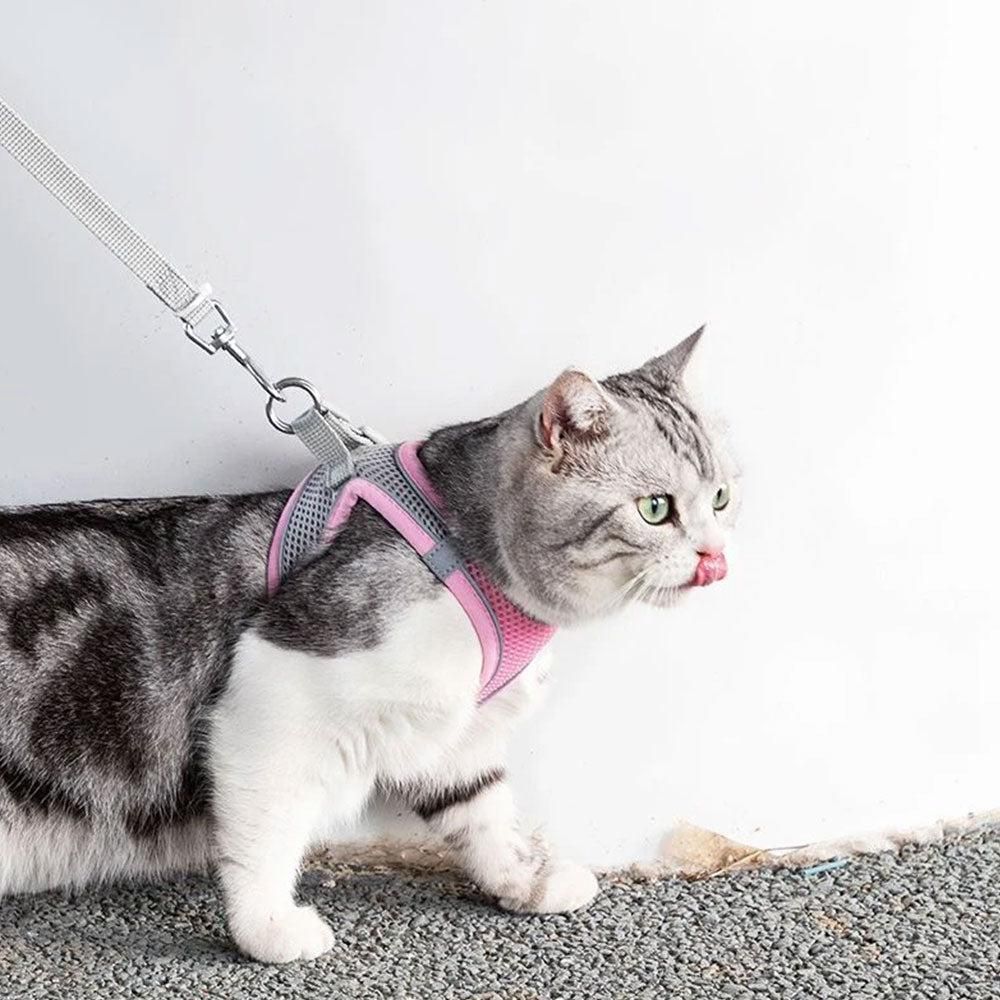 Pet Cat Harness and Leash Set Breathable Vest with Reflective Strip for Kitten Walking Traveling Pink - view 7