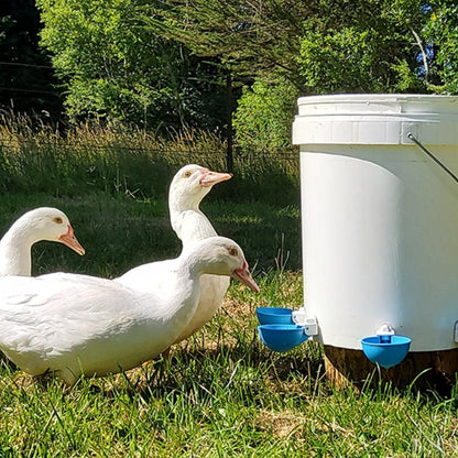 5Pcs Automatic Chicken Waterer Cups Water Feeder for Chicks Duck Goose Blue - view 3