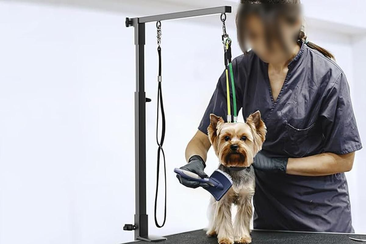 Dog Grooming Arm Pet Grooming Hammock Dog Grooming Stand with Loop Noose - view 6