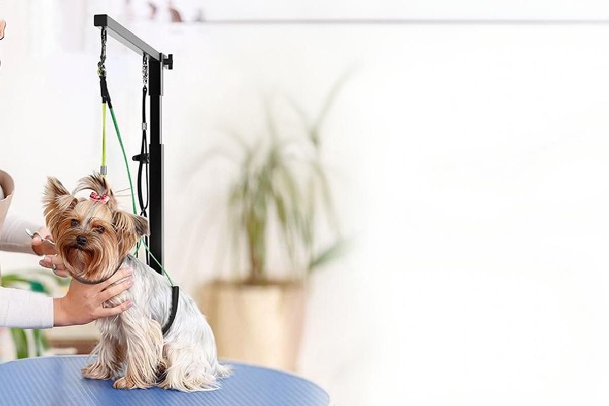 Dog Grooming Arm Pet Grooming Hammock Dog Grooming Stand with Loop Noose - view 7