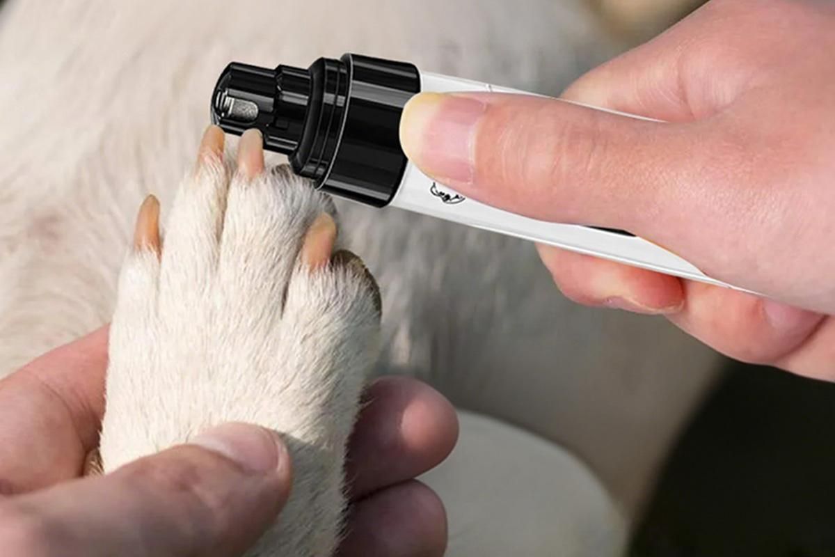 2-Speed Dog Nail Grinder Pet Nail Grinder Super Quiet Rechargeable Electric Dog Nail Trimmer for Large Medium Small Dogs - view 3
