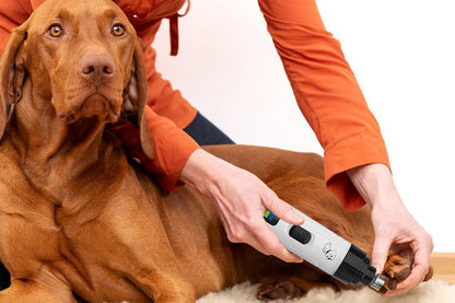 2-Speed Dog Nail Grinder Pet Nail Grinder Super Quiet Rechargeable Electric Dog Nail Trimmer for Large Medium Small Dogs - view 4