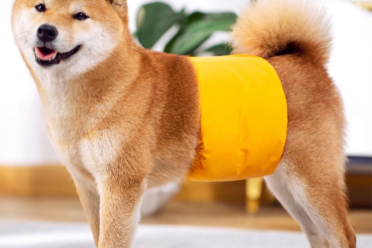 Washable Dog Diaper Water-resistant Puppy Nappy Belly Wrap for Male Dogs Reusable Dog Belly Bands Male Puppy Nappies Wrap Yellow - S - view 3