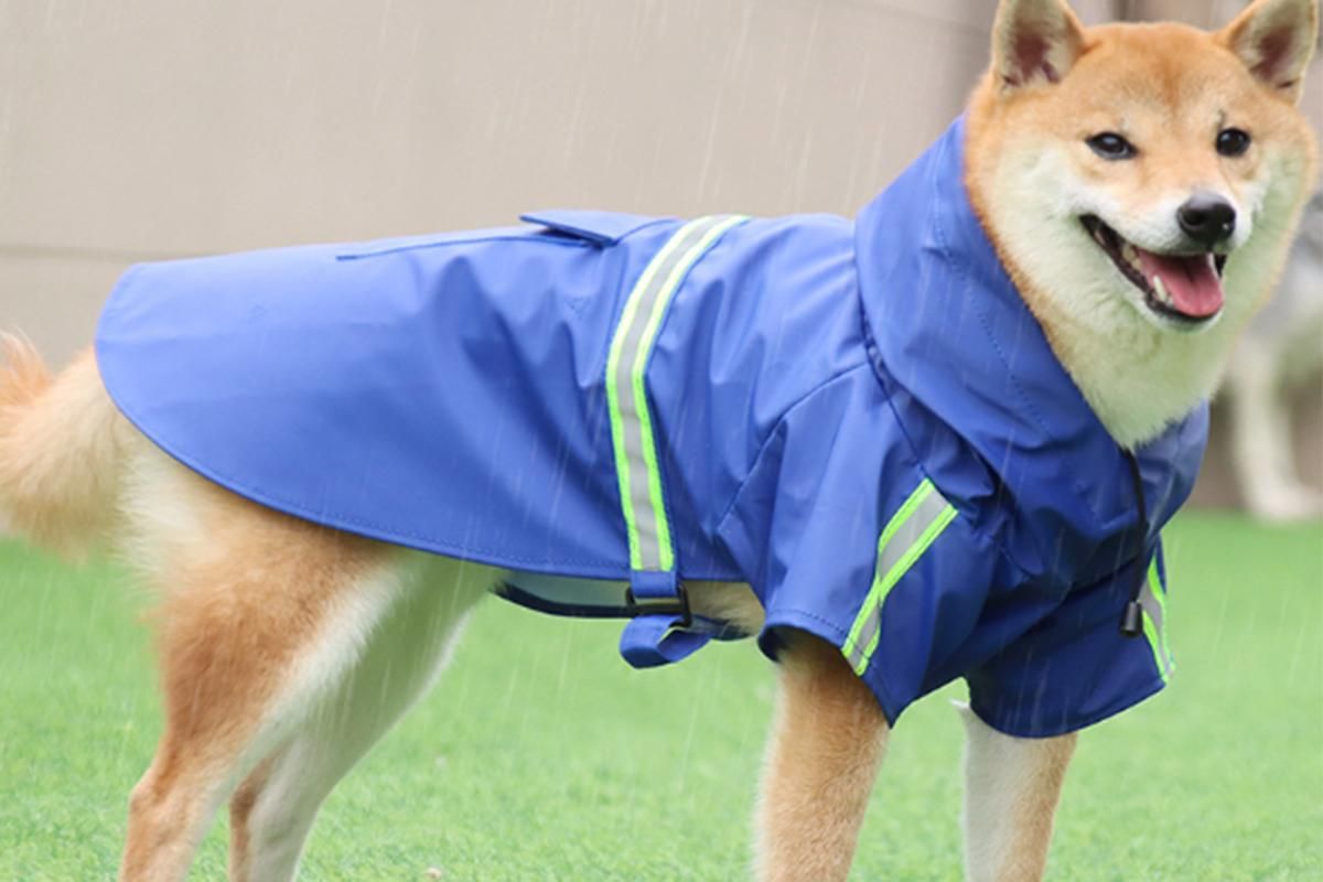 Pet Raincoat Outdoor Waterproof Dog Poncho for Small and Medium Dogs - Blue - view 2