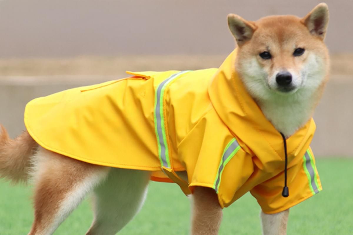 Pet Raincoat Outdoor Waterproof Dog Poncho for Small and Medium Dogs - Orange - view 3